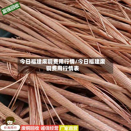 今日福建废铜费用行情/今日福建废铜费用行情表