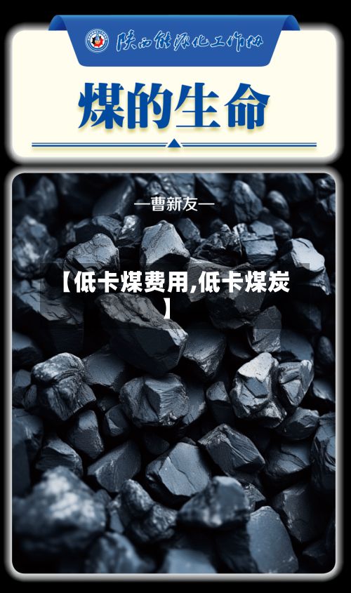 【低卡煤费用,低卡煤炭】-第3张图片