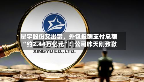 星宇股份又出错，外包报酬支付总额“约2.44万亿元”！公司昨天刚致歉-第2张图片
