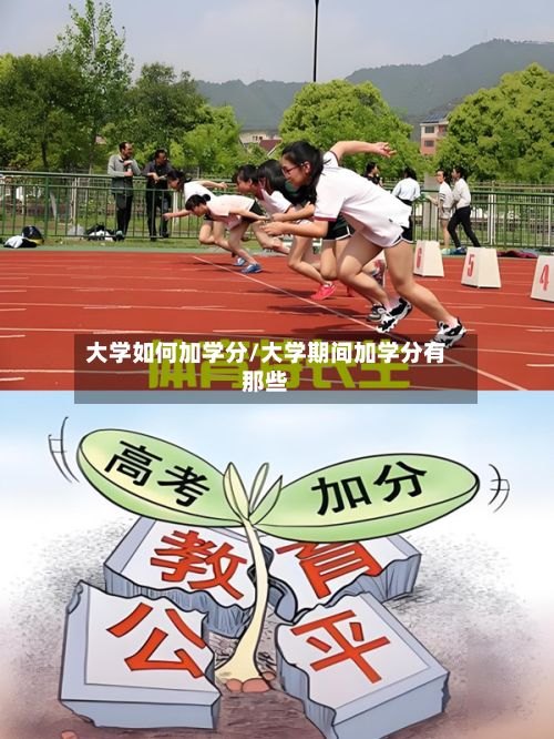 大学如何加学分/大学期间加学分有那些