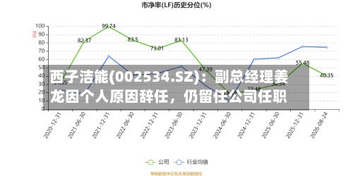 西子洁能(002534.SZ)：副总经理姜龙因个人原因辞任，仍留任公司任职-第3张图片