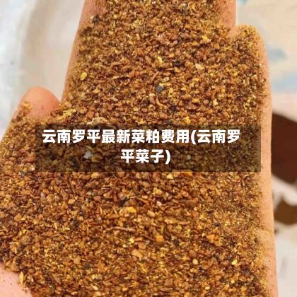 云南罗平最新菜粕费用(云南罗平菜子)-第2张图片