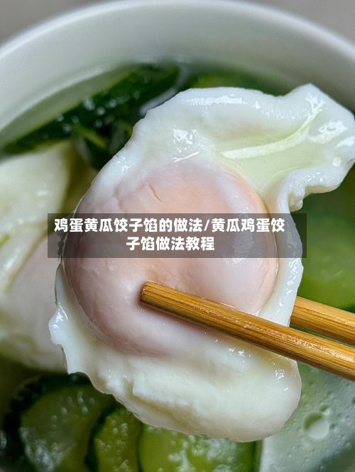 鸡蛋黄瓜饺子馅的做法/黄瓜鸡蛋饺子馅做法教程