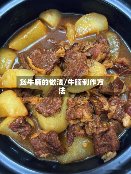 煲牛腩的做法/牛腩制作方法-第2张图片