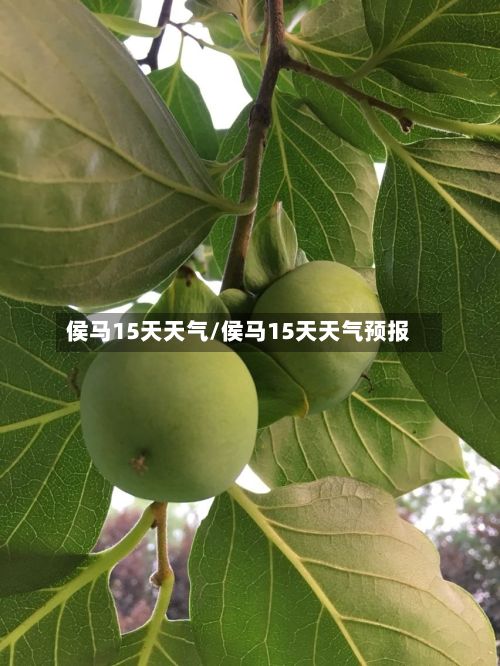 侯马15天天气/侯马15天天气预报
