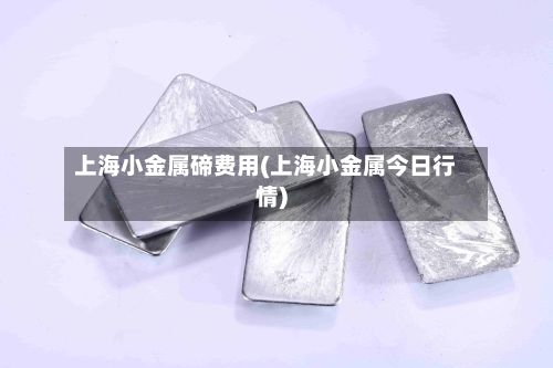 上海小金属碲费用(上海小金属今日行情)