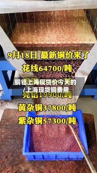 铜铝上海现货价今天的/上海现货铜费用