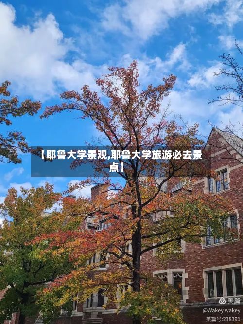【耶鲁大学景观,耶鲁大学旅游必去景点】-第2张图片