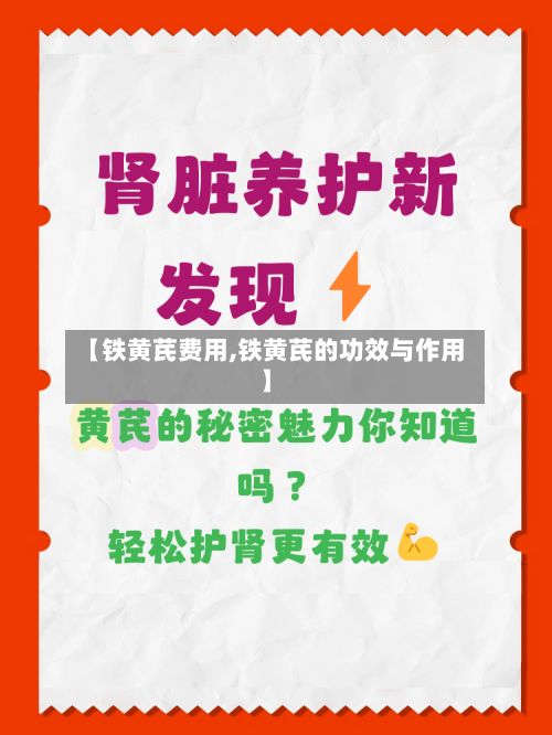 【铁黄芪费用,铁黄芪的功效与作用】-第3张图片