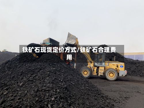 铁矿石现货定价方式/铁矿石合理费用