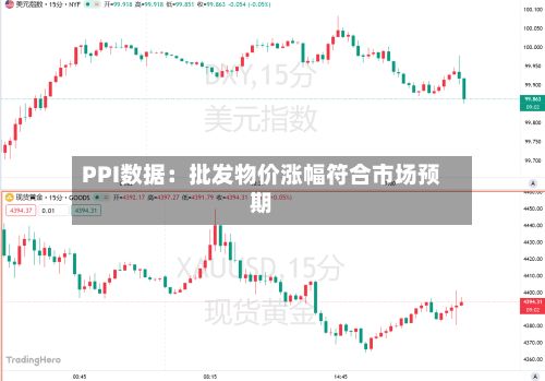 PPI数据：批发物价涨幅符合市场预期-第2张图片