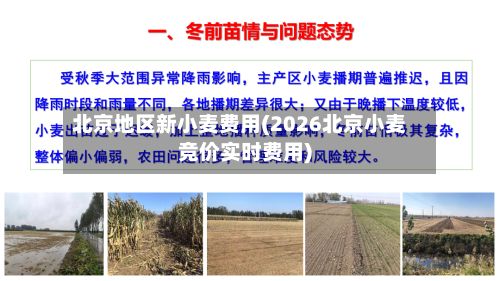 北京地区新小麦费用(2026北京小麦竞价实时费用)-第2张图片