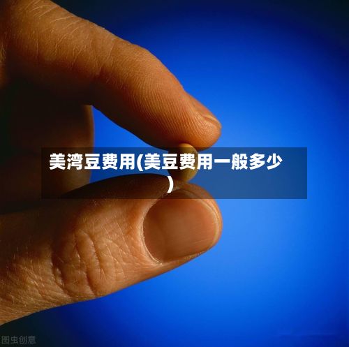 美湾豆费用(美豆费用一般多少)