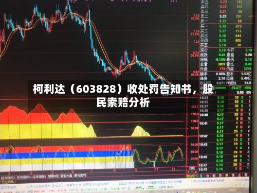 柯利达（603828）收处罚告知书，股民索赔分析-第2张图片