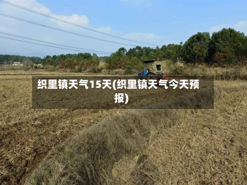 织里镇天气15天(织里镇天气今天预报)