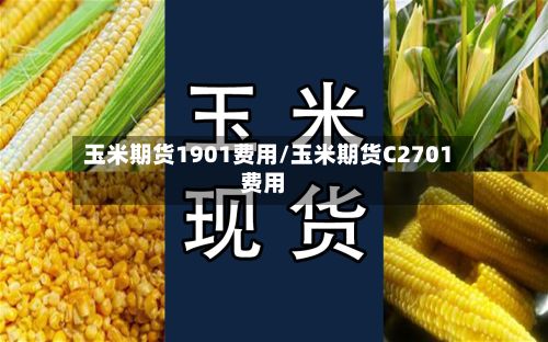玉米期货1901费用/玉米期货C2701费用