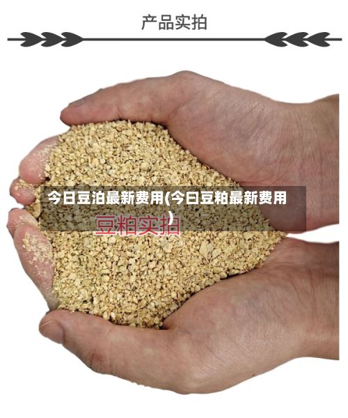 今日豆泊最新费用(今曰豆粕最新费用)