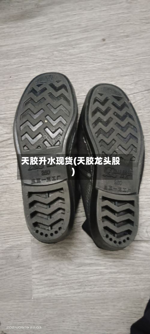 天胶升水现货(天胶龙头股)