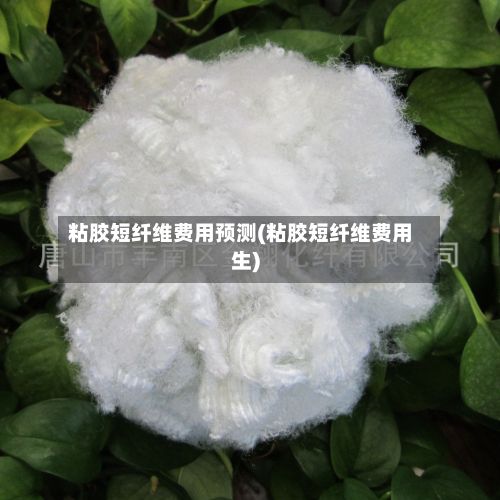 粘胶短纤维费用预测(粘胶短纤维费用生)