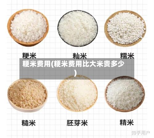 粳米费用(粳米费用比大米贵多少)