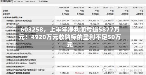 603258，上半年净利润亏损5877万元！4920万元收购标的盈利不足50万元