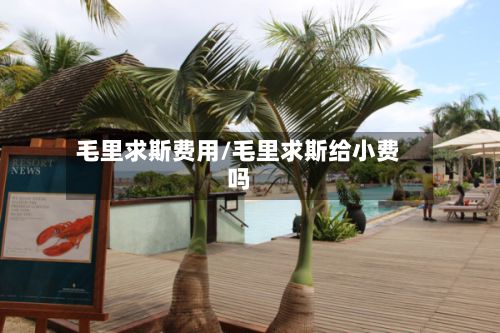 毛里求斯费用/毛里求斯给小费吗-第3张图片