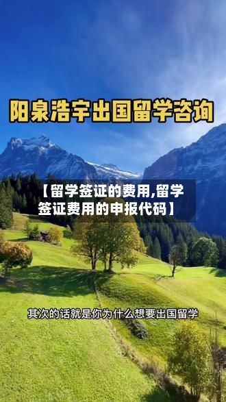 【留学签证的费用,留学签证费用的申报代码】-第2张图片