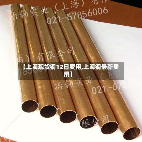 【上海现货铜12日费用,上海铜最新费用】-第3张图片