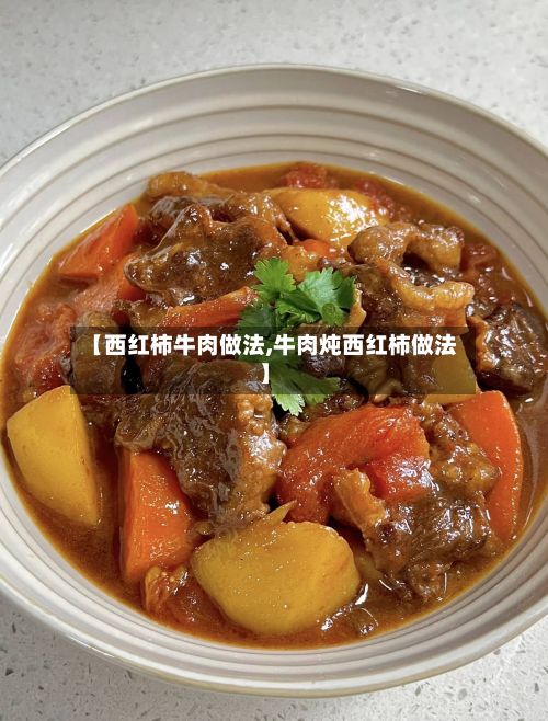 【西红柿牛肉做法,牛肉炖西红柿做法】