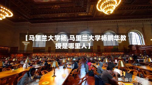 【马里兰大学杨,马里兰大学杨鹏华教授是哪里人】