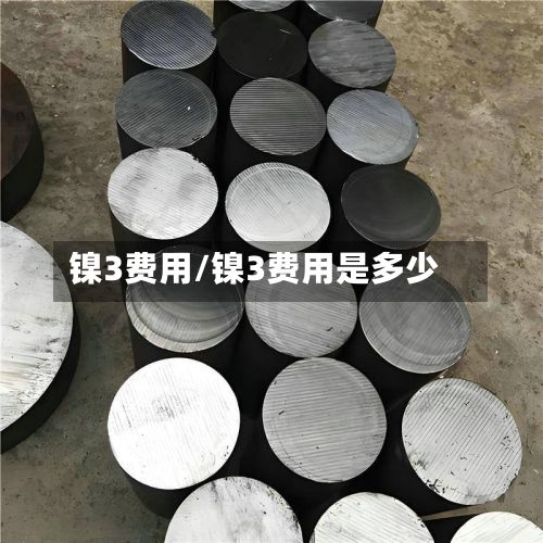 镍3费用/镍3费用是多少-第3张图片