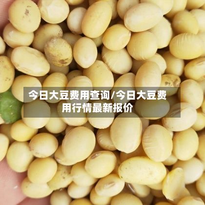 今日大豆费用查询/今日大豆费用行情最新报价