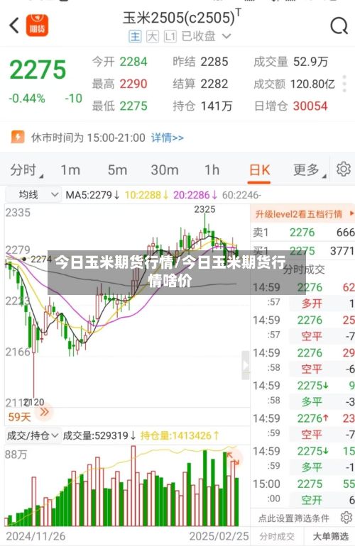 今日玉米期货行情/今日玉米期货行情啥价-第2张图片