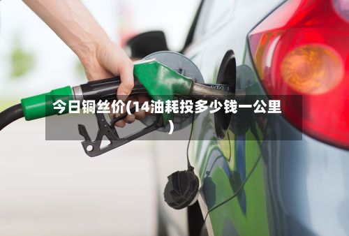 今日铜丝价(14油耗投多少钱一公里)-第2张图片