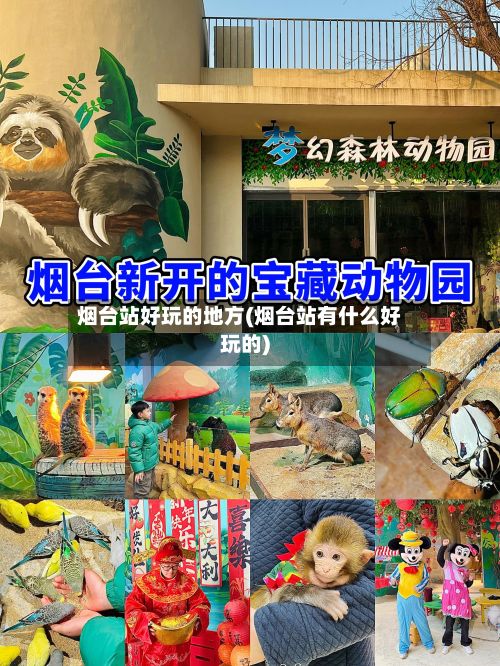 烟台站好玩的地方(烟台站有什么好玩的)-第2张图片