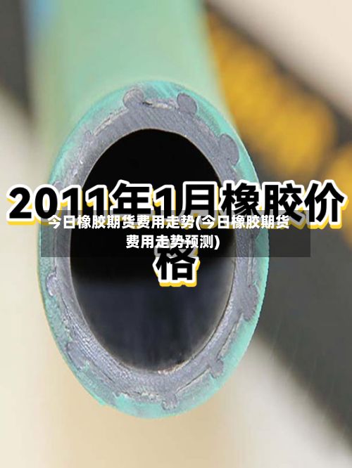 今日橡胶期货费用走势(今日橡胶期货费用走势预测)