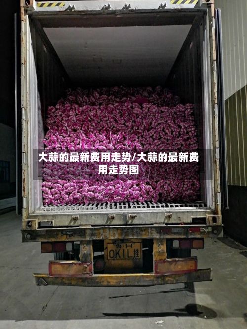 大蒜的最新费用走势/大蒜的最新费用走势图