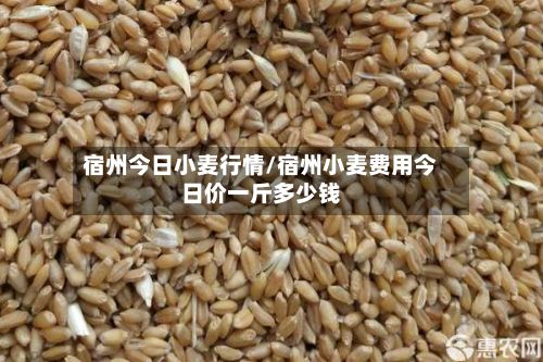 宿州今日小麦行情/宿州小麦费用今日价一斤多少钱-第2张图片