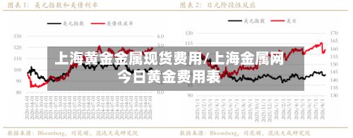 上海黄金金属现货费用/上海金属网今日黄金费用表-第2张图片