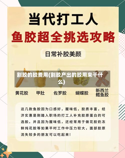 割胶的胶费用(割胶产出的胶用来干什么)