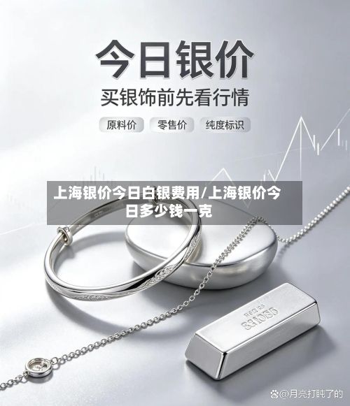 上海银价今日白银费用/上海银价今日多少钱一克