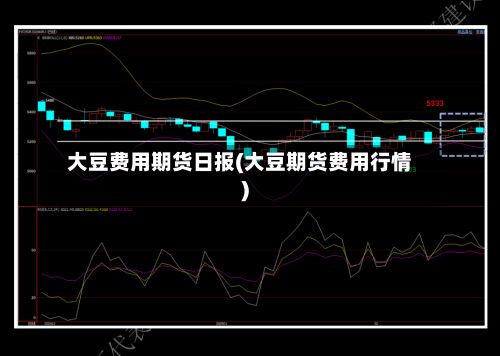 大豆费用期货日报(大豆期货费用行情)