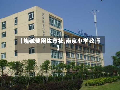 【烧碱费用生意社,南京小学教师】-第3张图片