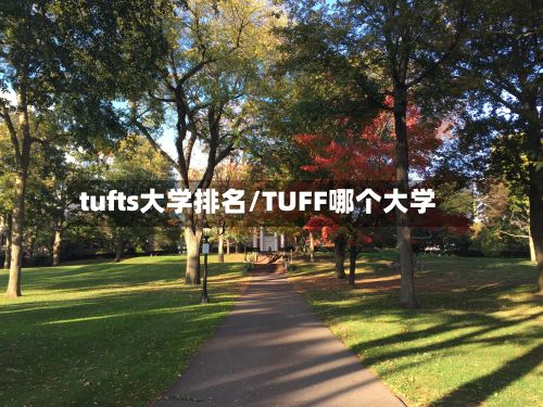 tufts大学排名/TUFF哪个大学-第3张图片