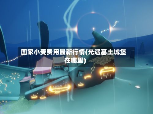 国家小麦费用最新行情(光遇墓土城堡在哪里)-第3张图片