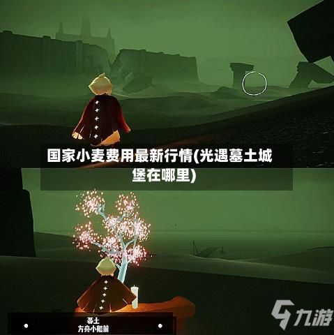 国家小麦费用最新行情(光遇墓土城堡在哪里)