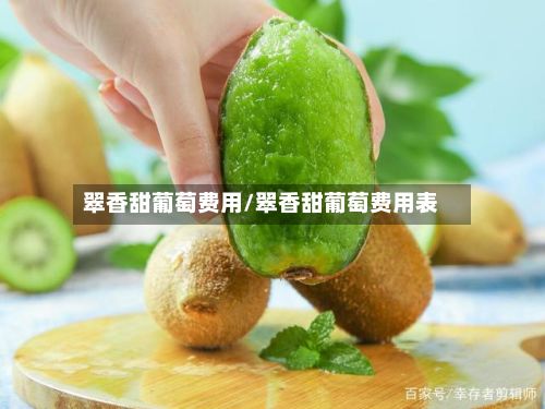 翠香甜葡萄费用/翠香甜葡萄费用表-第3张图片