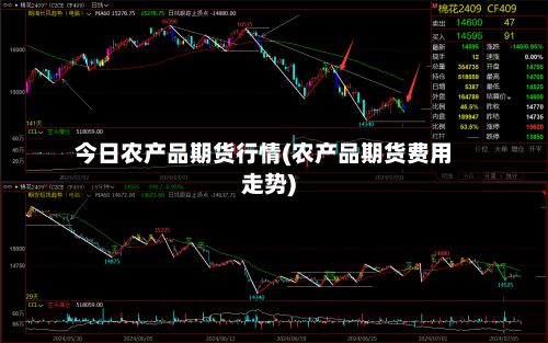 今日农产品期货行情(农产品期货费用走势)-第2张图片