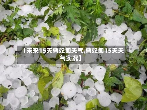 【未来15天曹妃甸天气,曹妃甸15天天气实况】