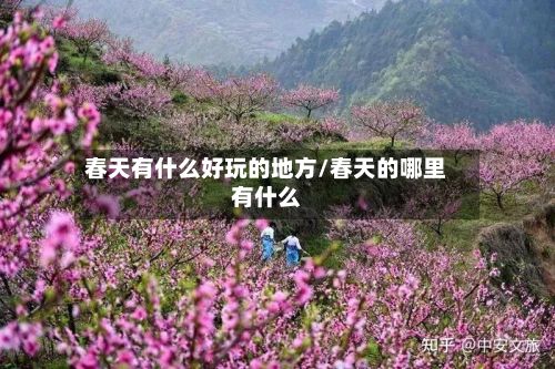 春天有什么好玩的地方/春天的哪里有什么